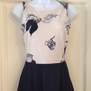 Dorothy Perkins Sleeveless Dress